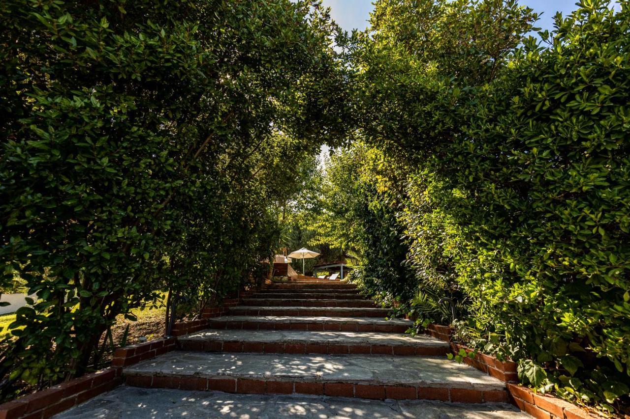 Casa Luxury Suites Paliouri Buitenkant foto